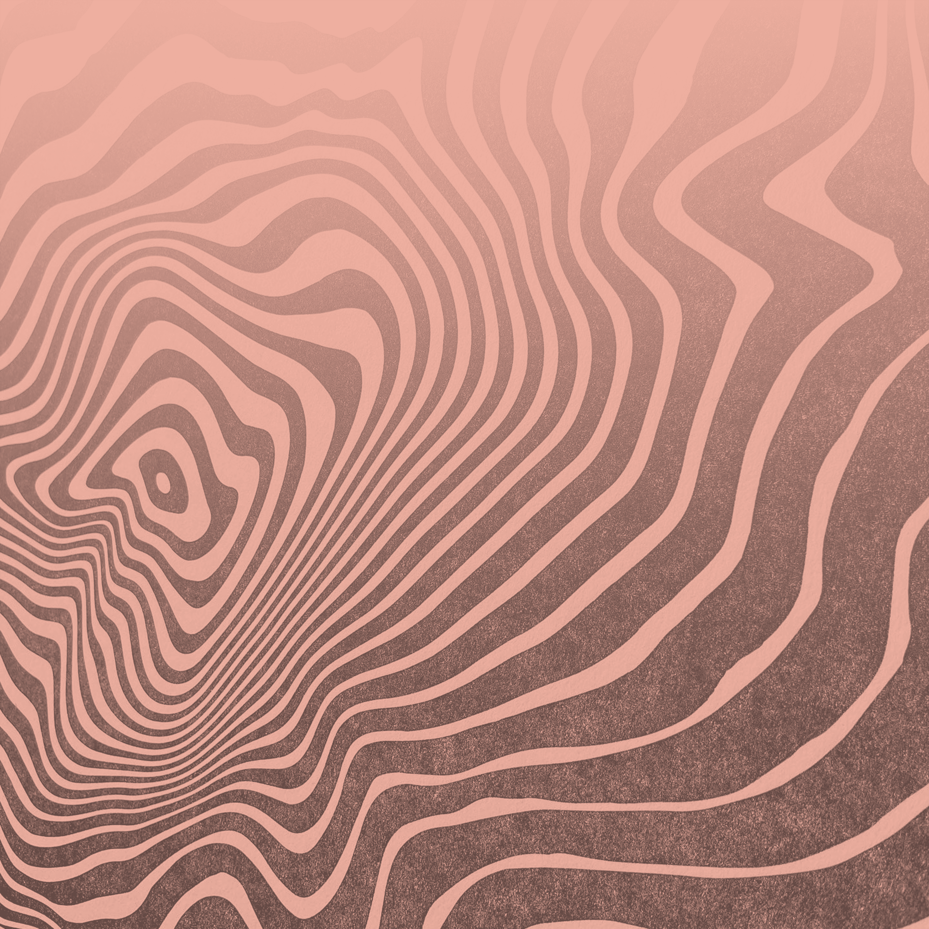 Fondo